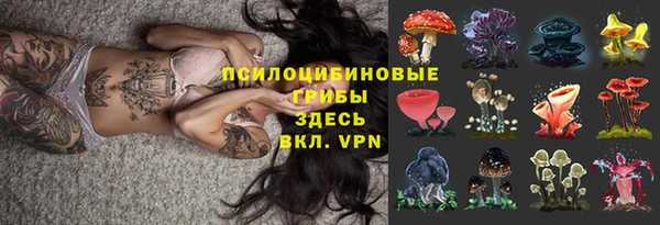 бошки Володарск