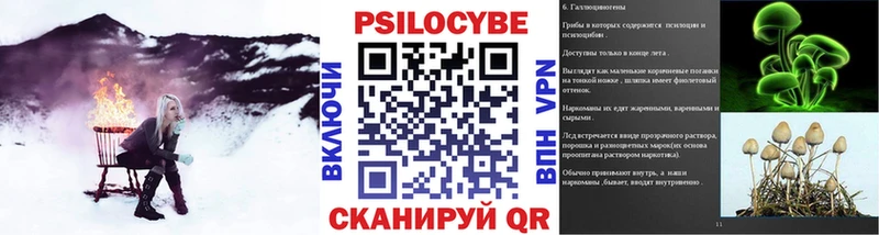 Купить закладки  Воронеж  Галлюциногенные грибы Cubensis 